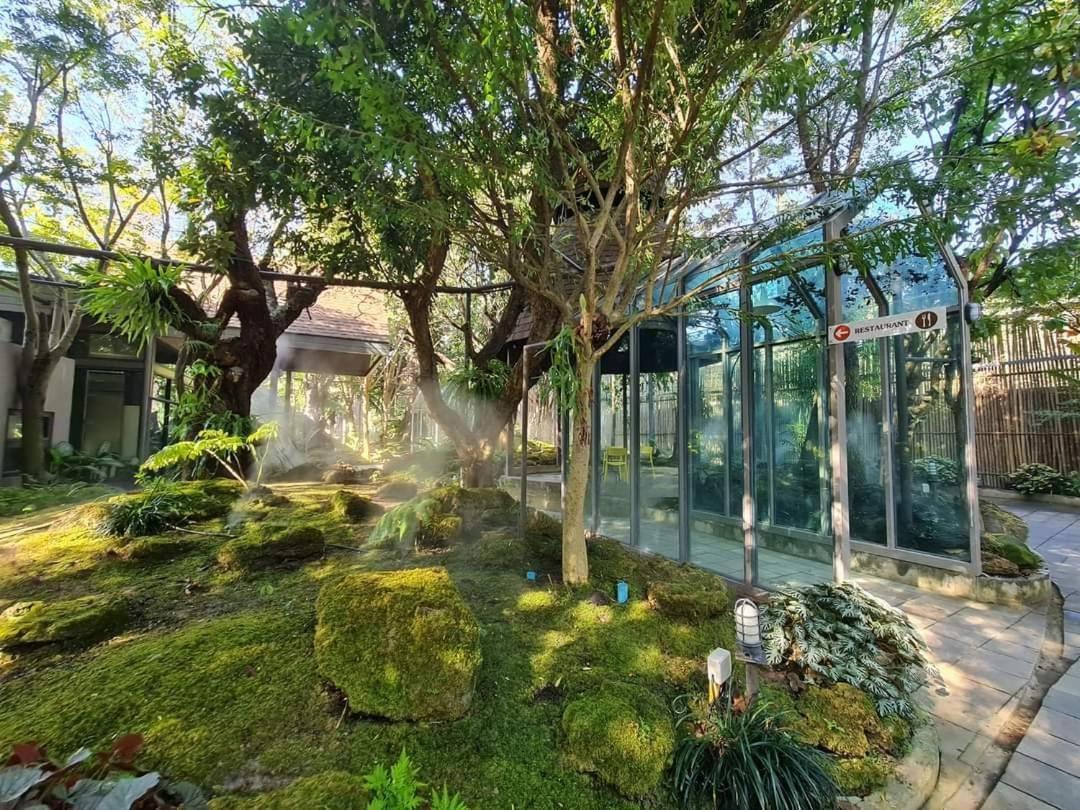 Treescape Resort Chiangmai Чіангмай Екстер'єр фото