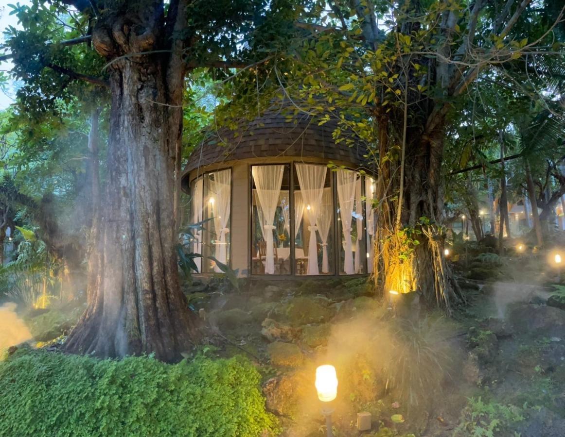 Treescape Resort Chiangmai Чіангмай Екстер'єр фото